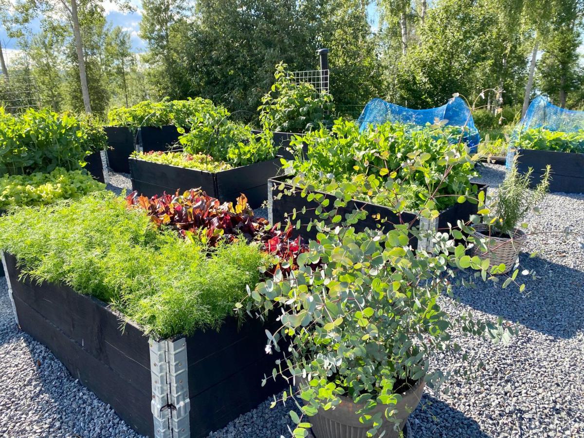 Soerbygarden Bed & Breakfast Brunflo Экстерьер фото